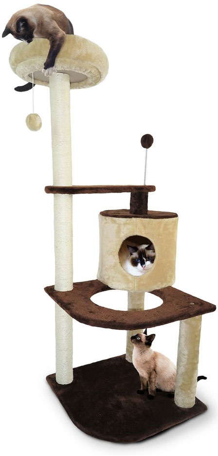 Scratching Post with Siamese cats